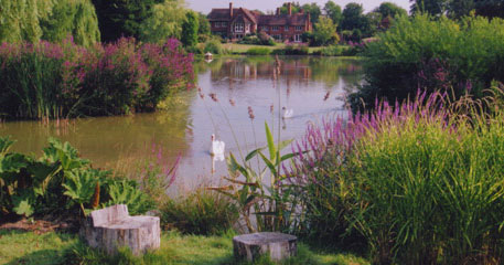 Our services in action