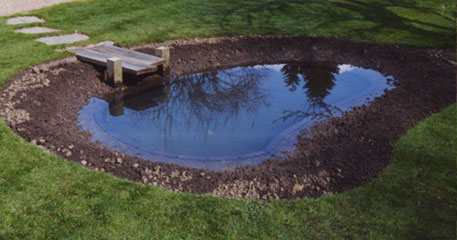 Our services in action