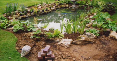 Our services in action