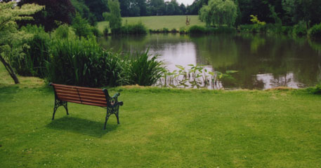 Our services in action