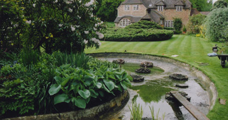 Our services in action