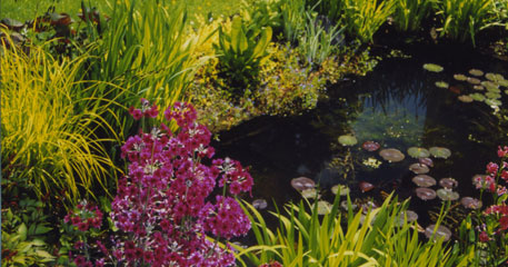 Our services in action