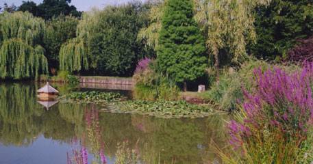 Our services in action